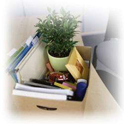 Warehouse Facilities Allied Packers-Packers and Movers in Panipat, Warehouse in Dwarka, Warehouse in Noida